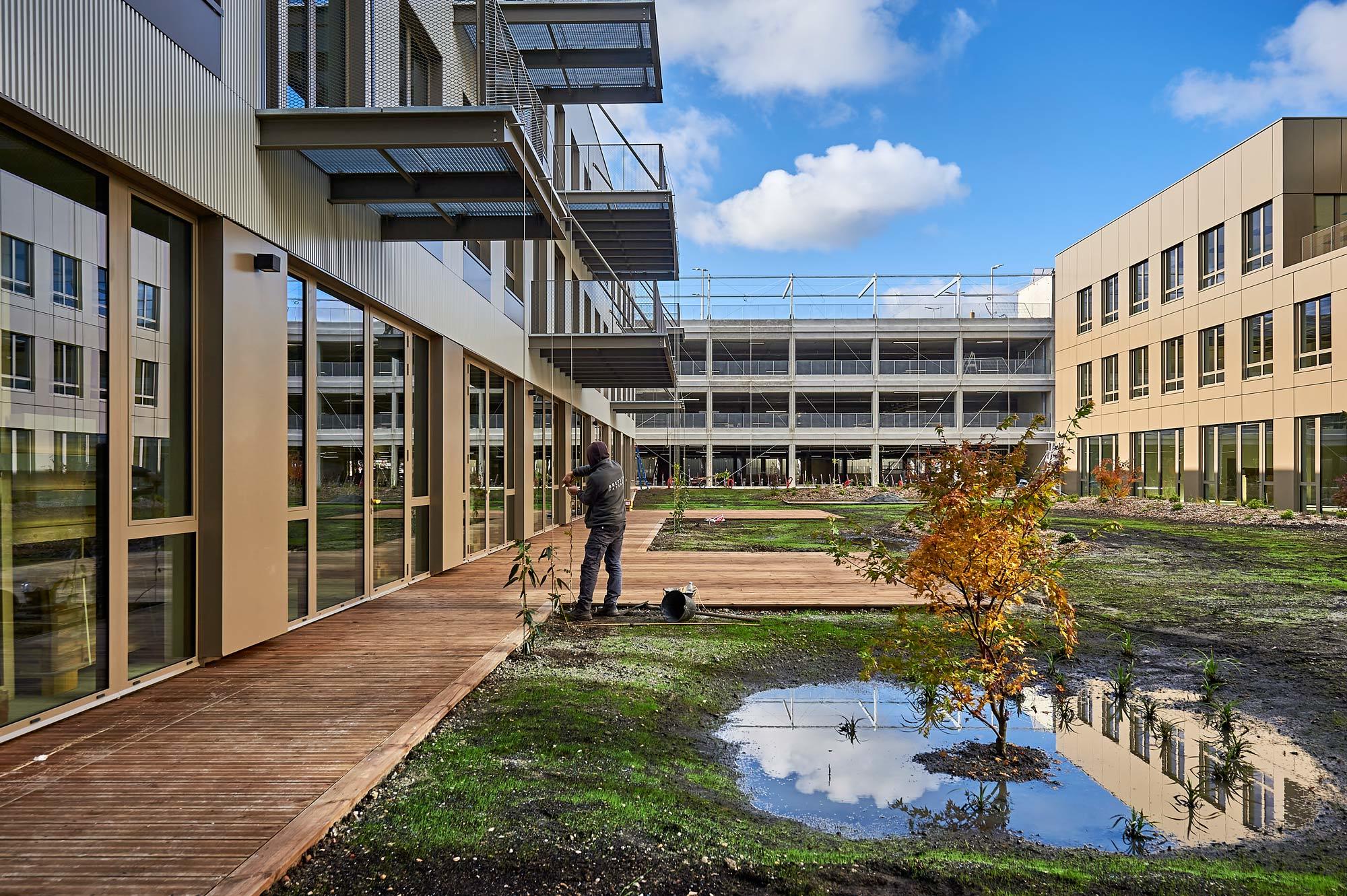 Jardin, terrasses, bois, Bureaux, HGA ARCHITECTES